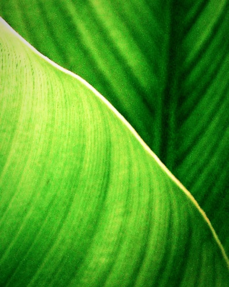 Фотография автора Hamid Reza Abadeh