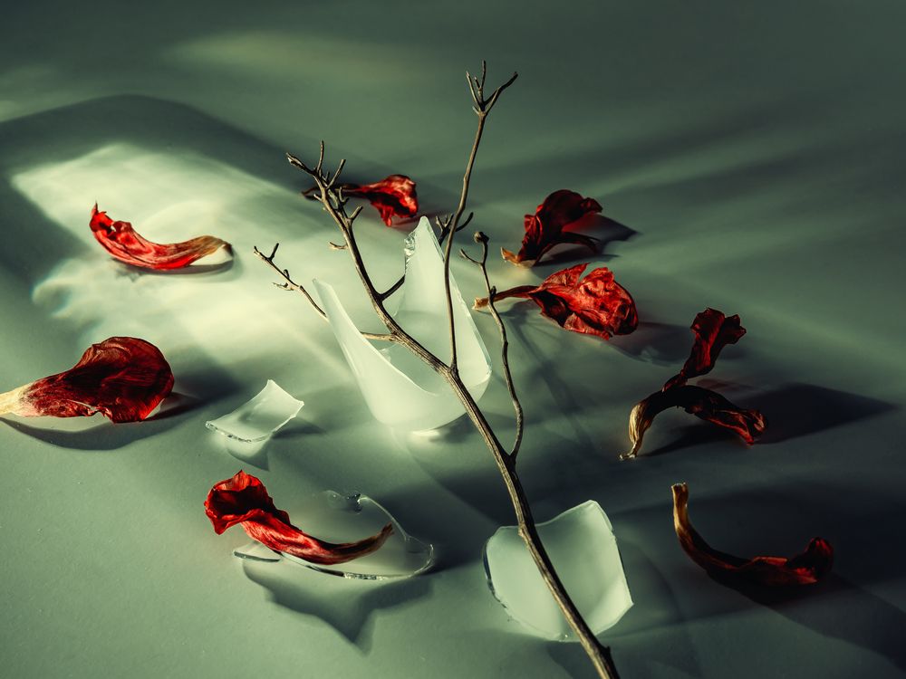 Photograph by Павлович Анатолий