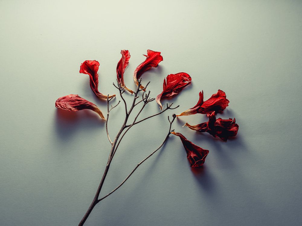 Photograph by Анатолий Павлович
