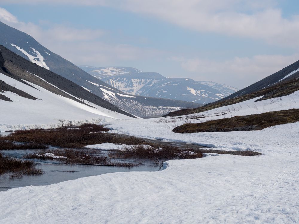 Фотография автора Шейко Анна