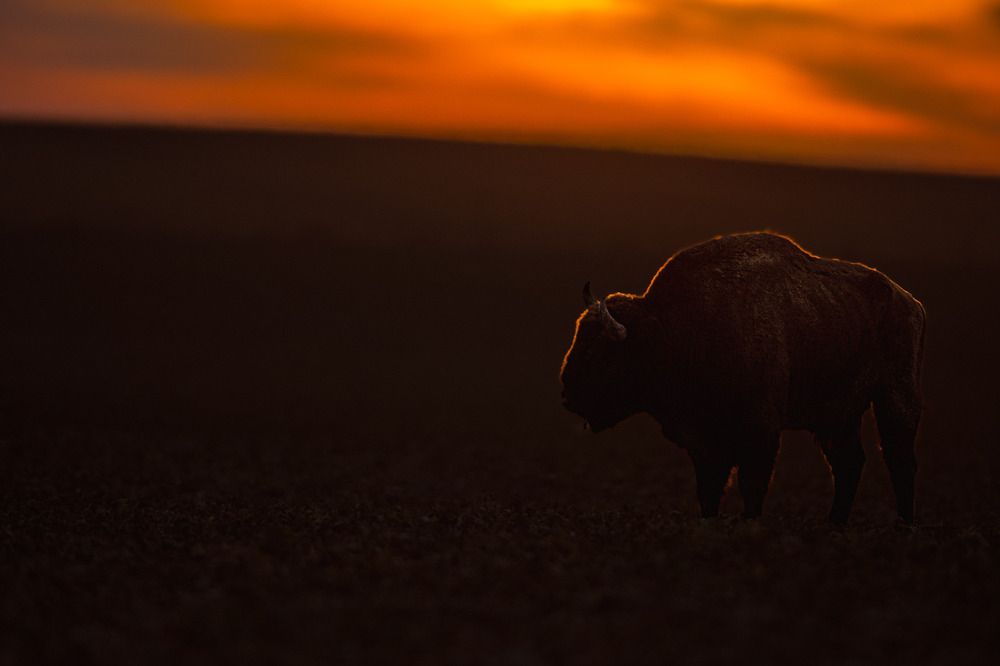 Photograph by Hajdu Pascal