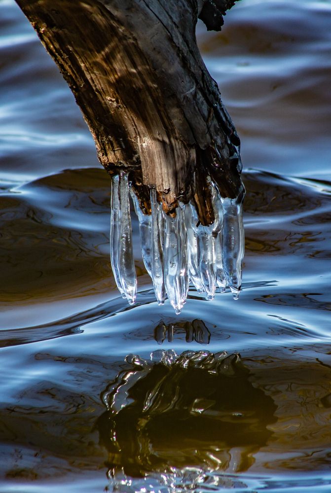 Photograph by Виталий Новиков