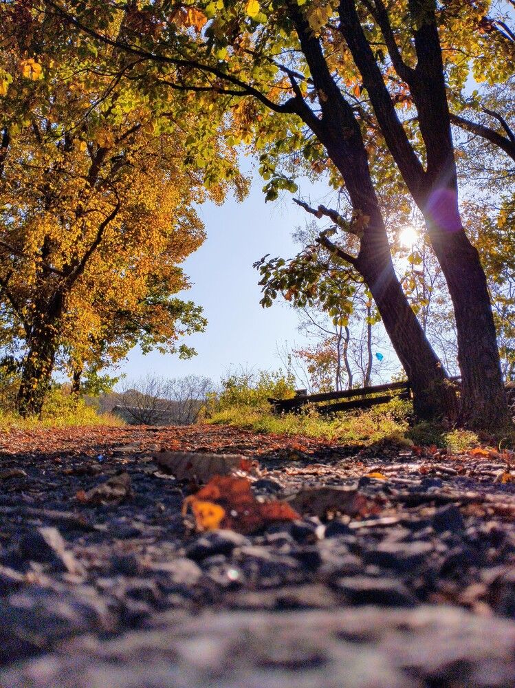 Photograph by Наливайко Татьяна