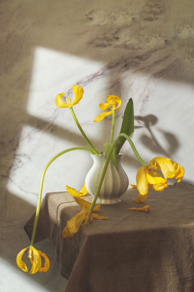 Photograph by Ольга Репина