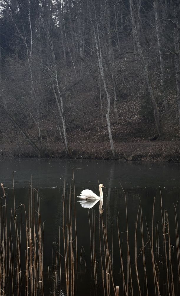 Photograph by Юля Базылева