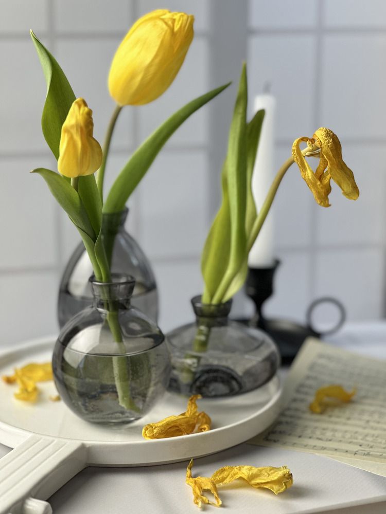 Fragility of flowers