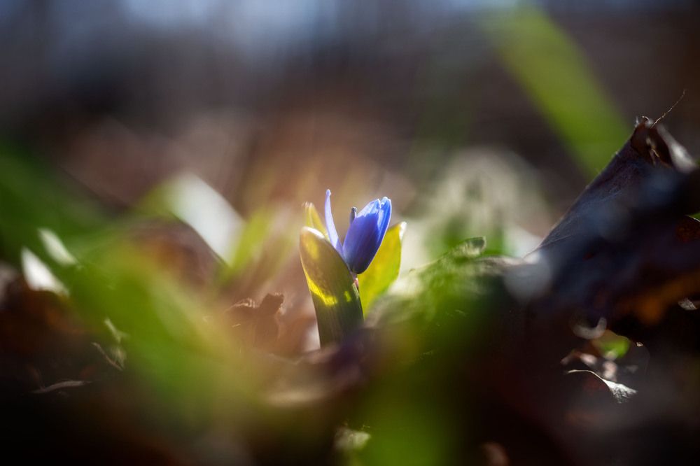 Photograph by Olga Sharikova