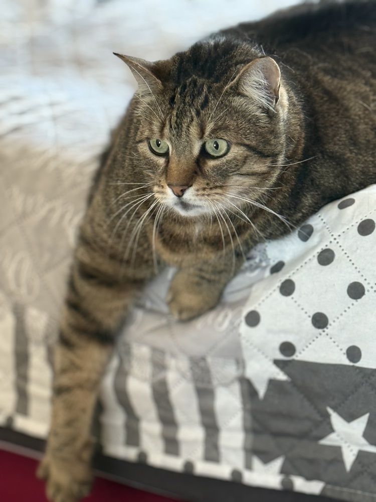 Photograph by Марина Дикманн