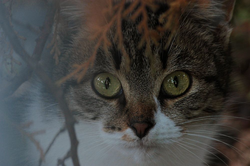 Photograph by Ольга Эльцер