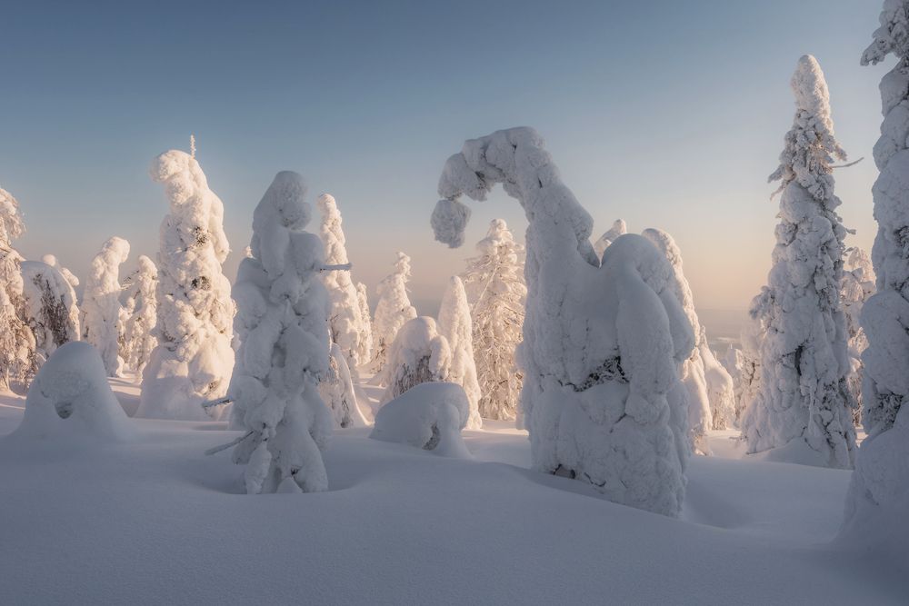 Photograph by Елена Соколова
