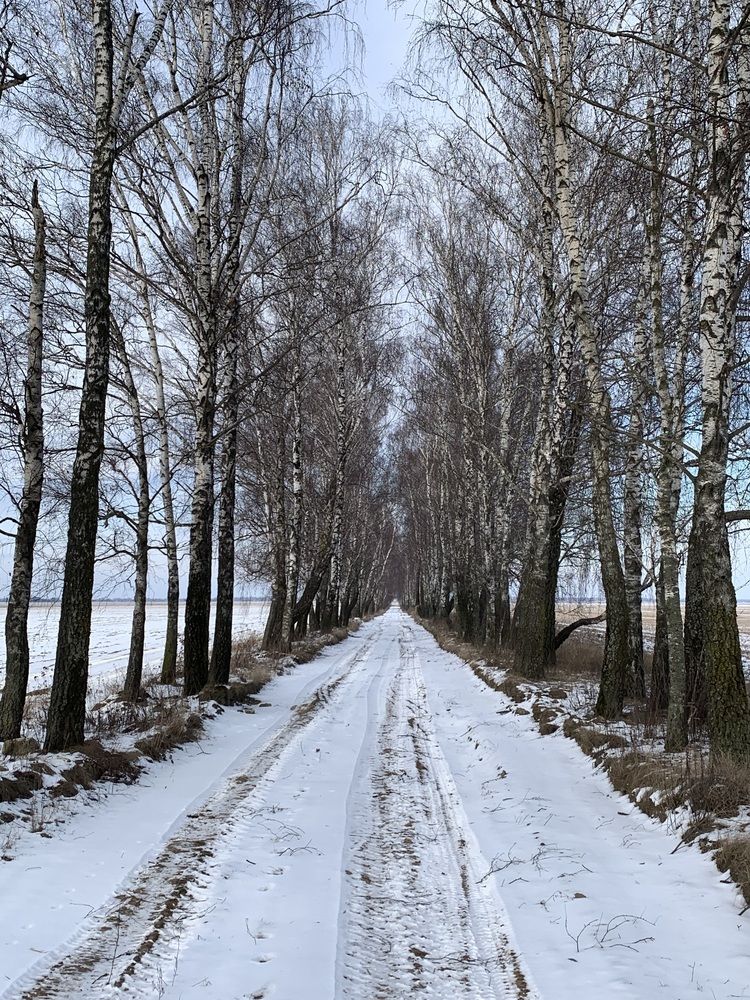 Photograph by Ирина Шпаковская