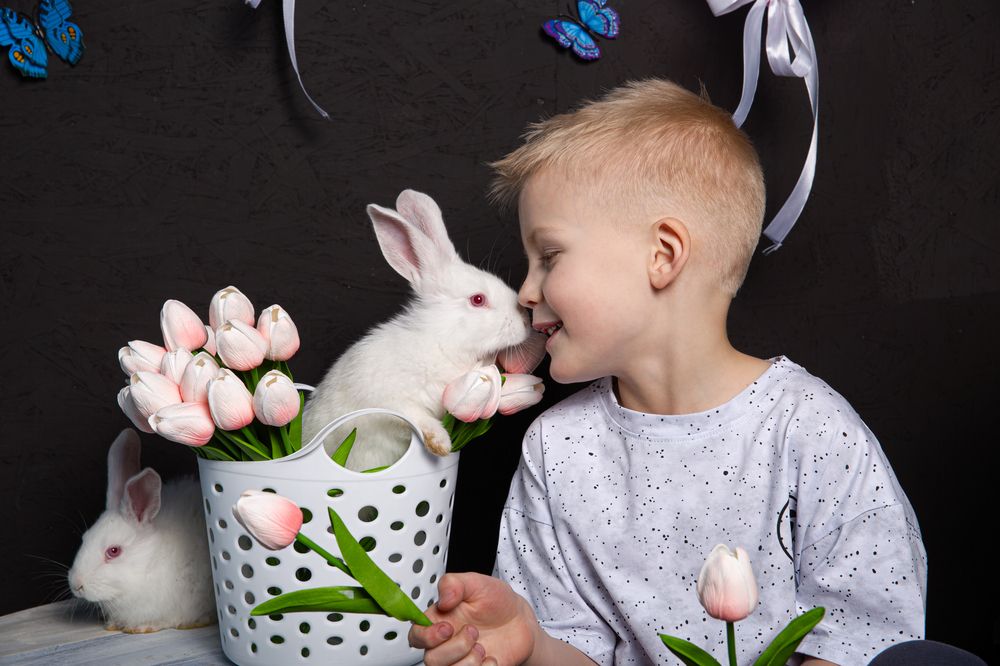 Фотография автора Анна Моргачёва