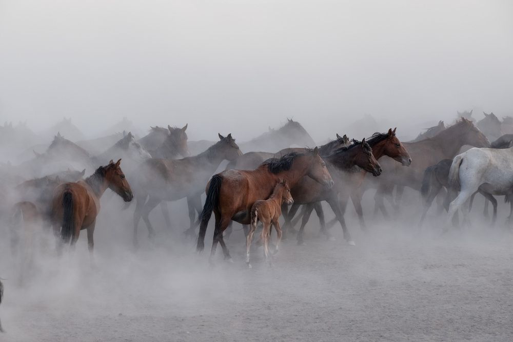 Photograph by Vasfiye Budak