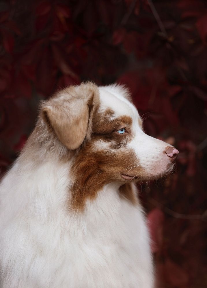 Photograph by Татьяна Шанта