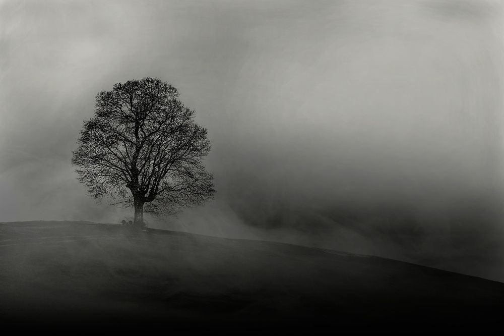Photograph by Vasfiye Budak
