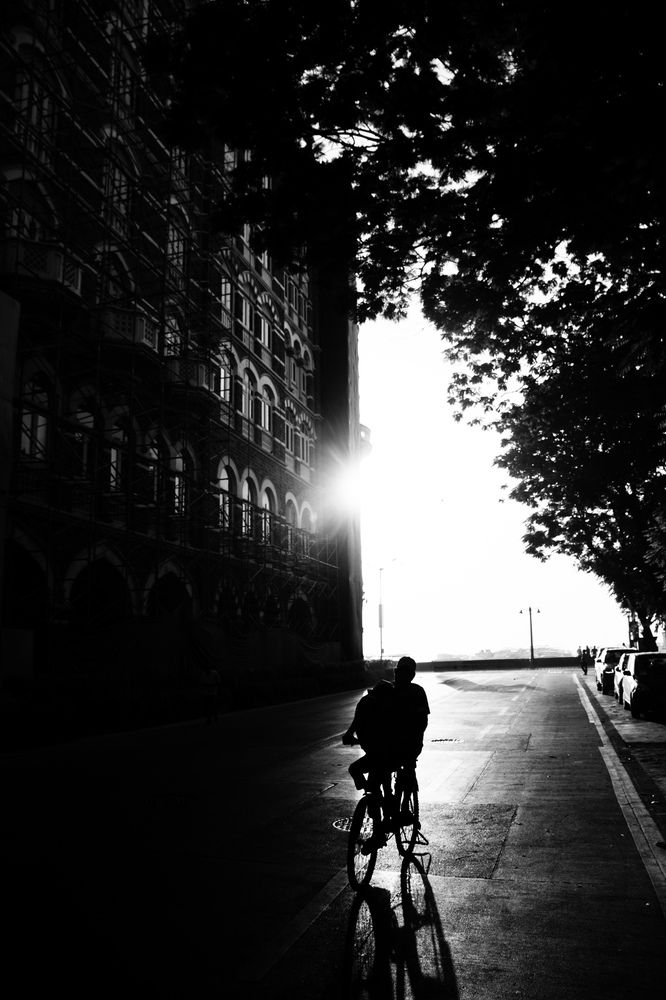 Photo #12090724