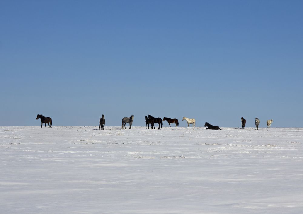 Между небом и землей