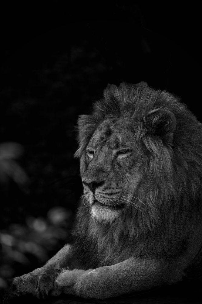 Photograph by Nitin Srivastava