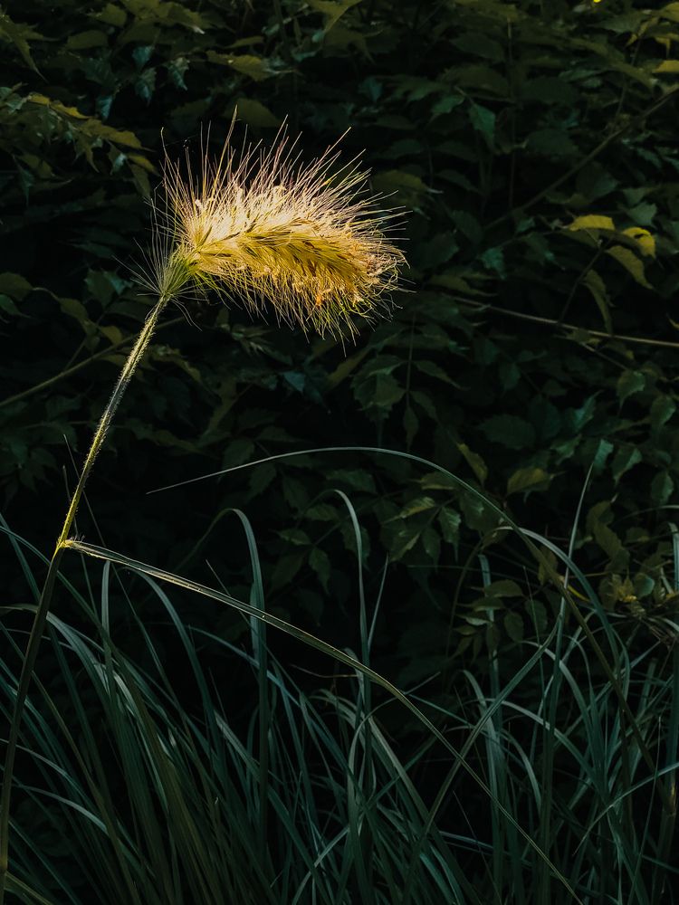 Photograph by Валерия Гуртовая