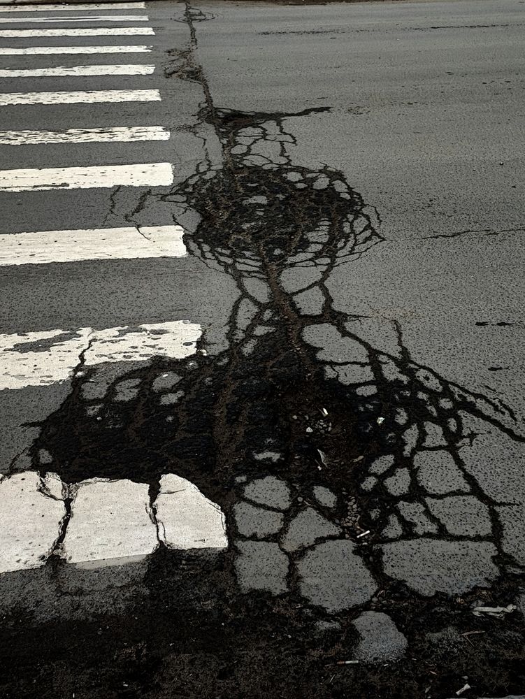 Photograph by Елена Юдина