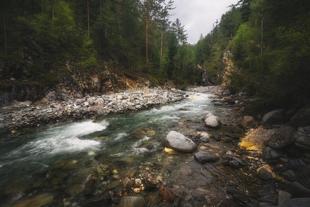 Photograph by Портных Дмитрий