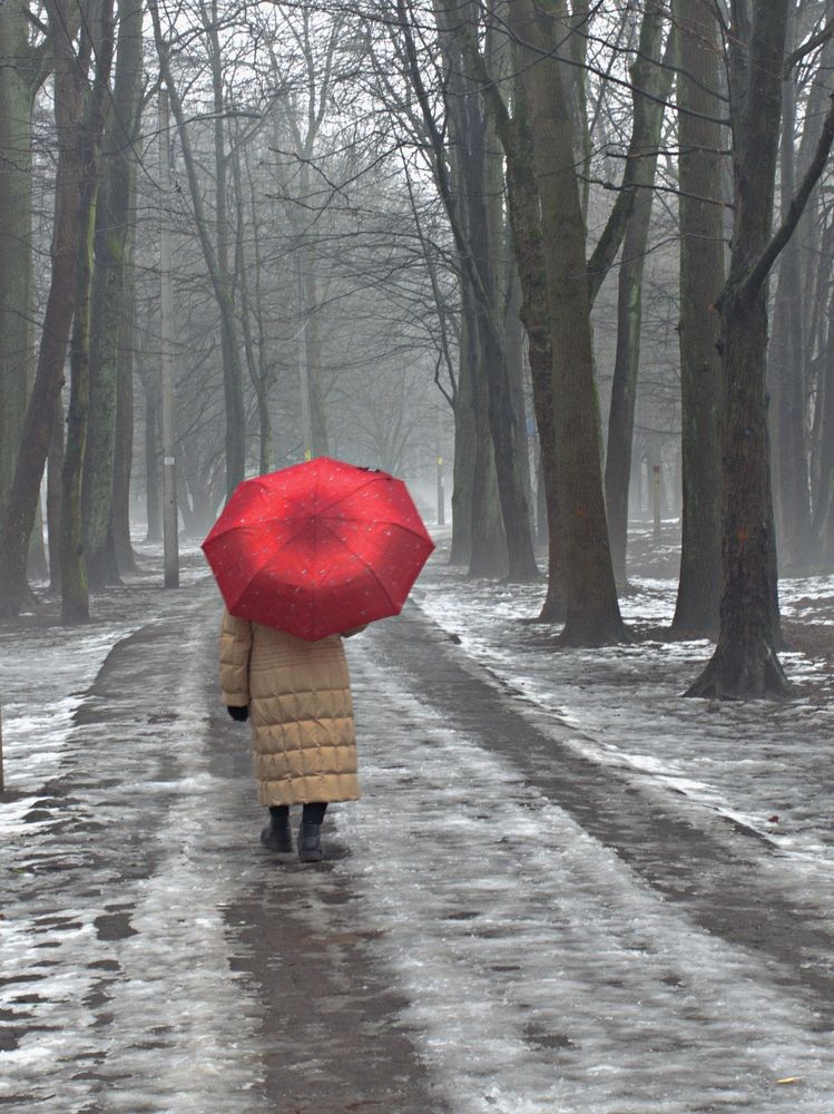 Туман и зонтик (Fog and umbrella)