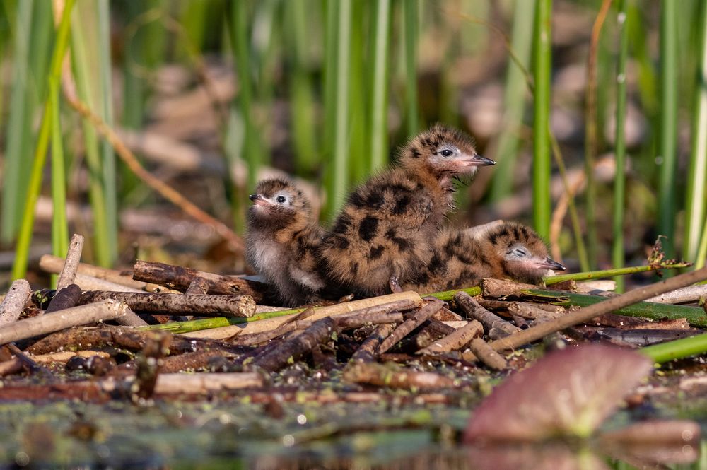 Photograph by Павел Краснослободцев
