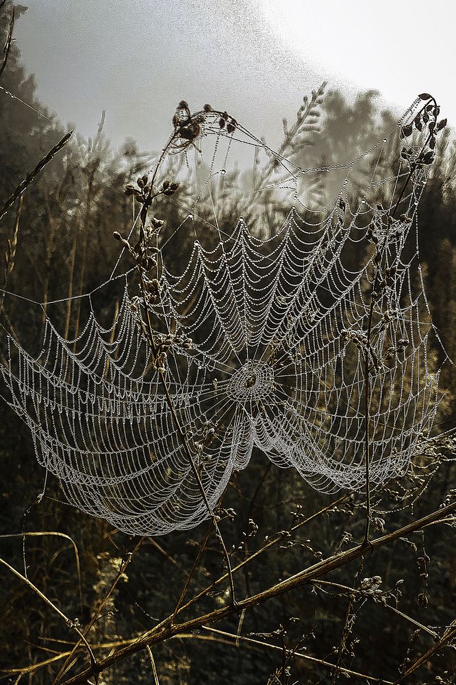 Photograph by Anna Sindikayeva