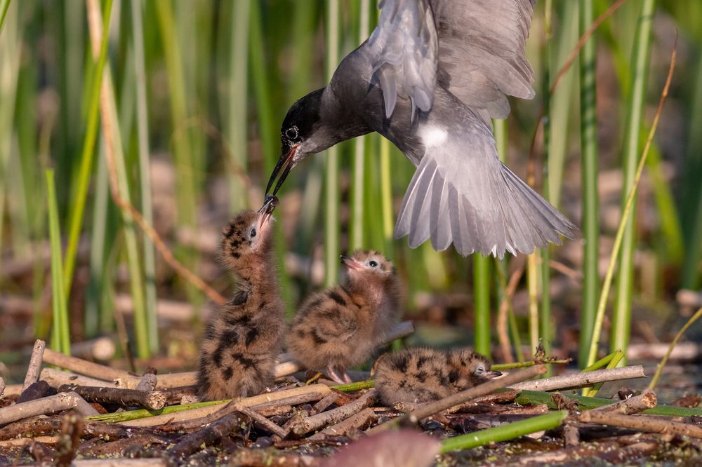 Photograph by Павел Краснослободцев