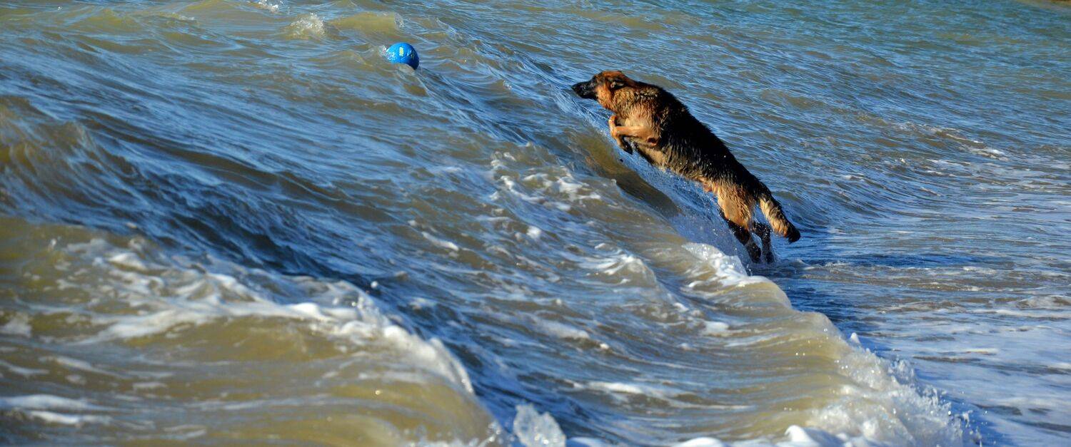 Притяжения нет Притяжения нет