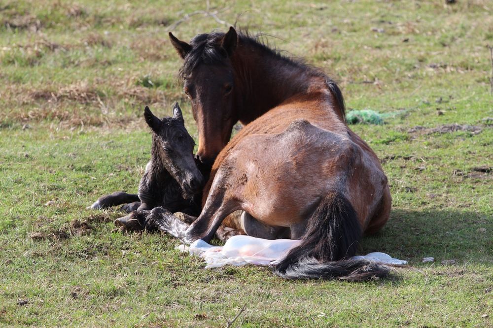 Photograph by Adelina Truhcheva