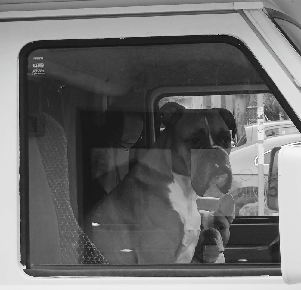 Photograph by Adelina Truhcheva