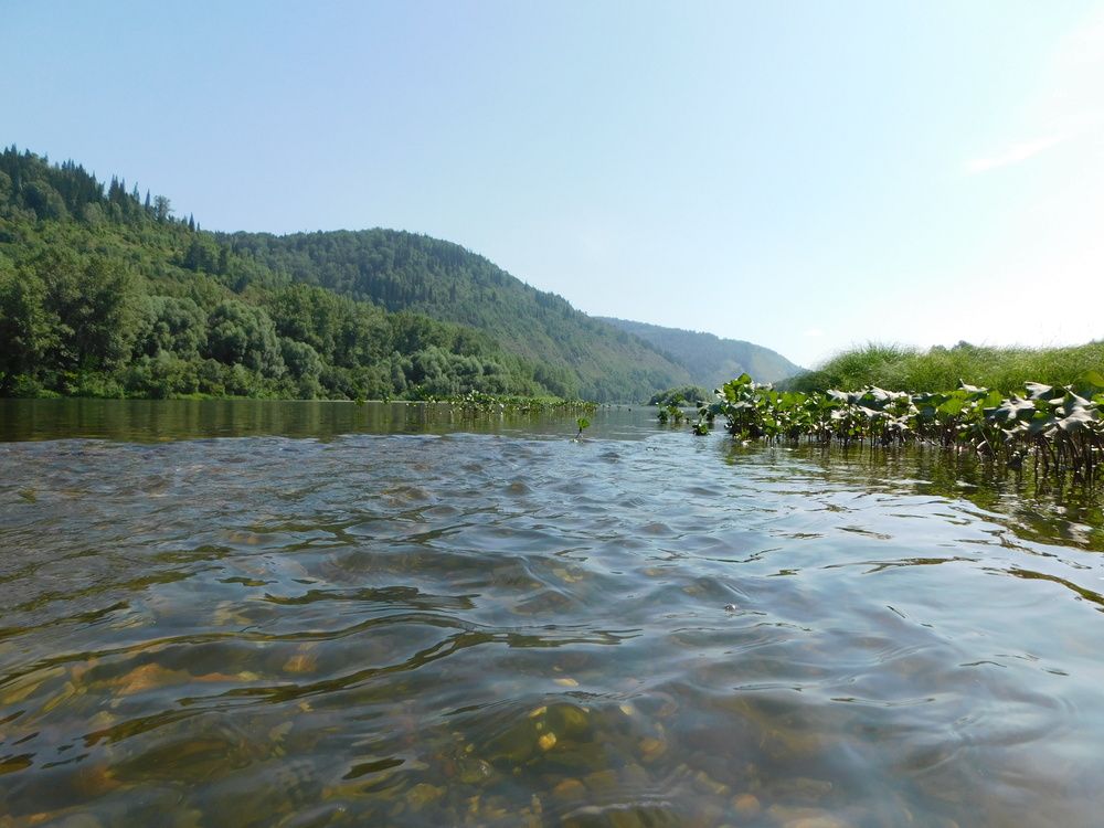 Photograph by Александр Прядко