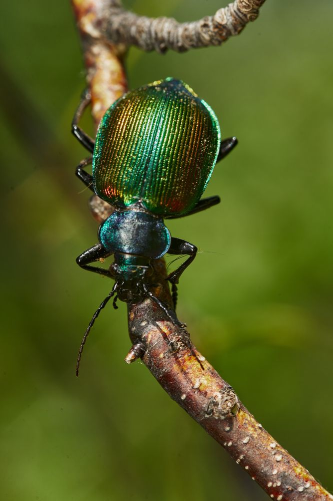 Фотография автора Игорь Игоревич