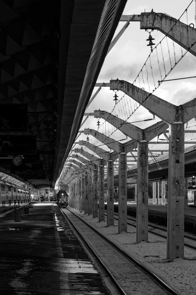 Photograph by Александр Селезнев