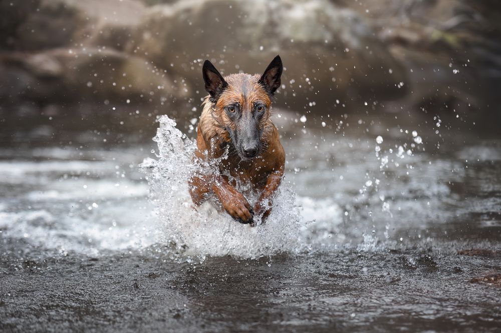 Photograph by Leticia Hernandez