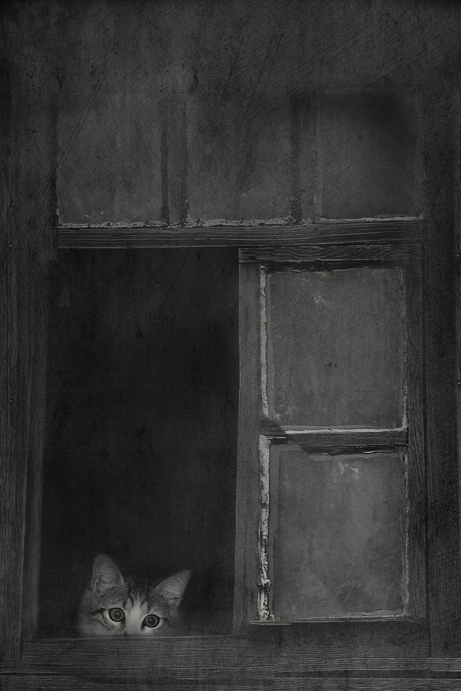 Photograph by Vasfiye Budak