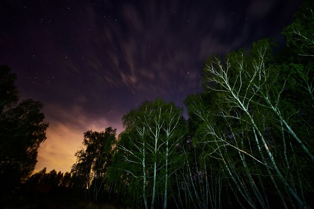 Фотография автора Игорь Игоревич