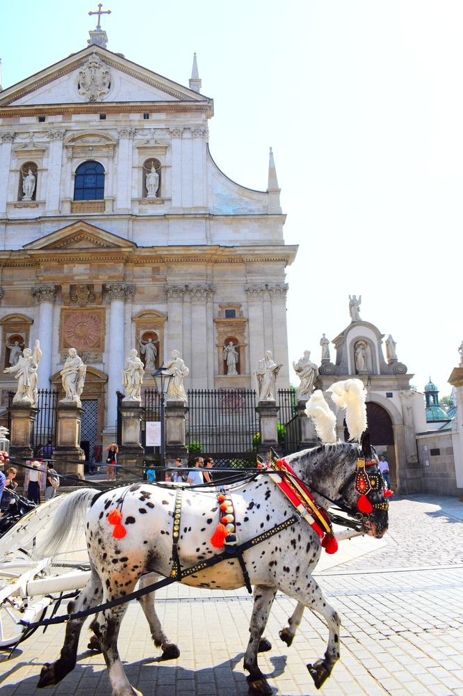 Photograph by Олег Лебедев