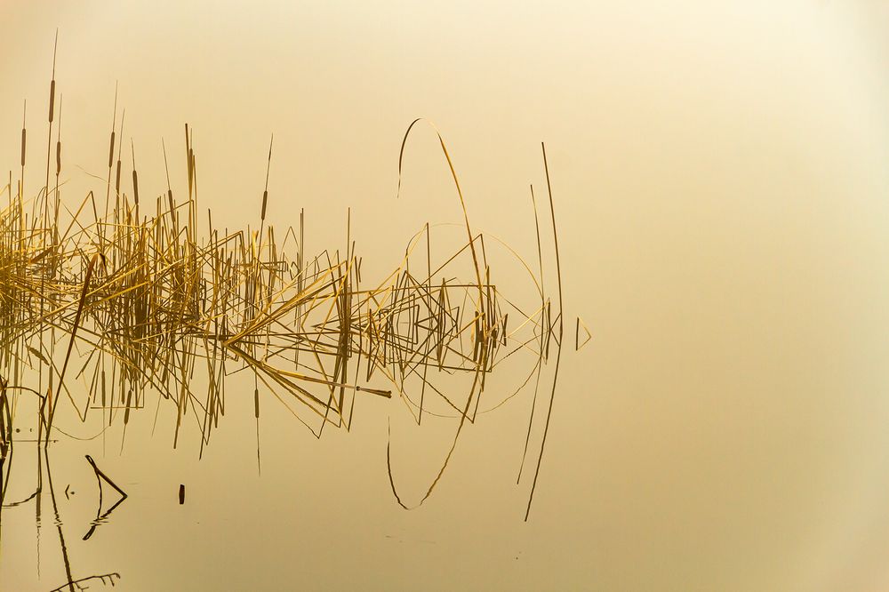 Photograph by Işık Güneykaya