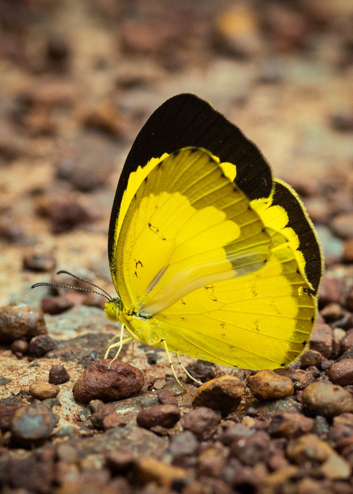 Photograph by Uyen Ha Phuong