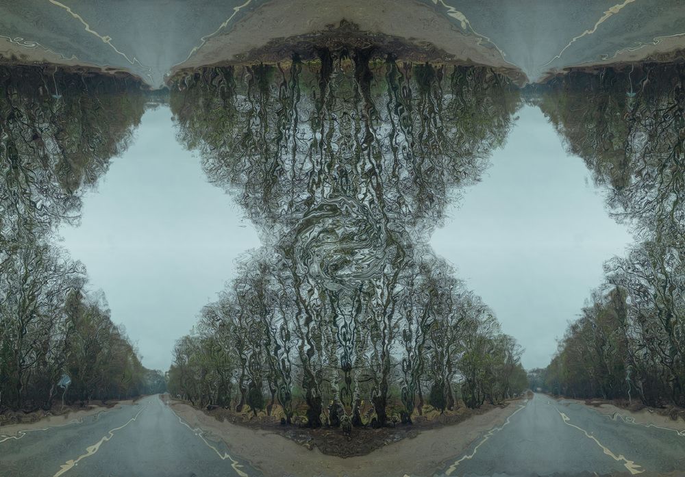 Photograph by Ольга Кушнарева