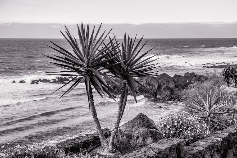 Photograph by Vitalii Kaznin