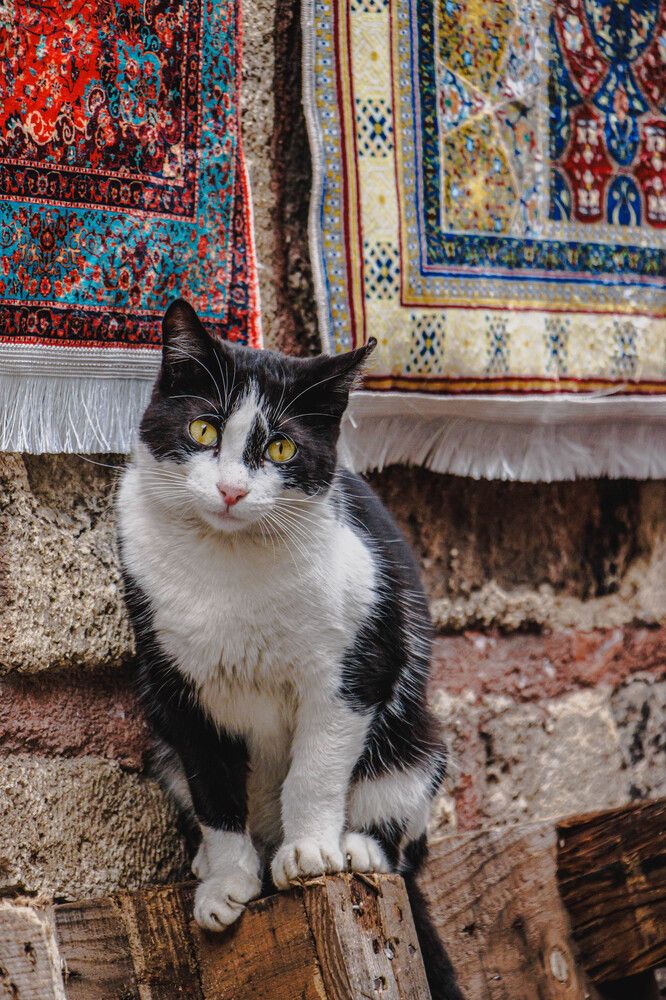 Photograph by Olya Donskaya