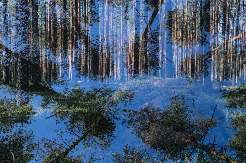 Photograph by Валерия Гуртовая