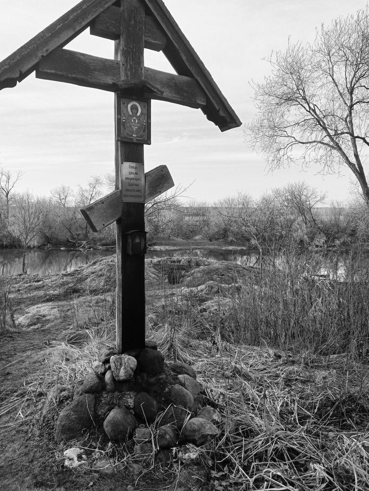 Photo #12092789