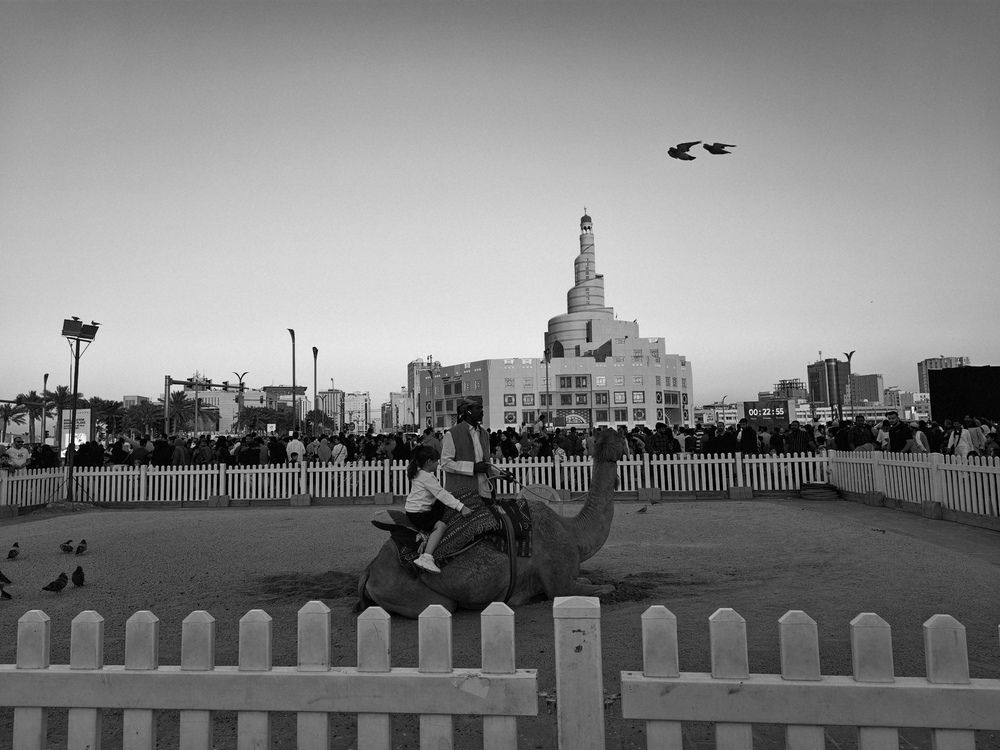 Photo #12092813