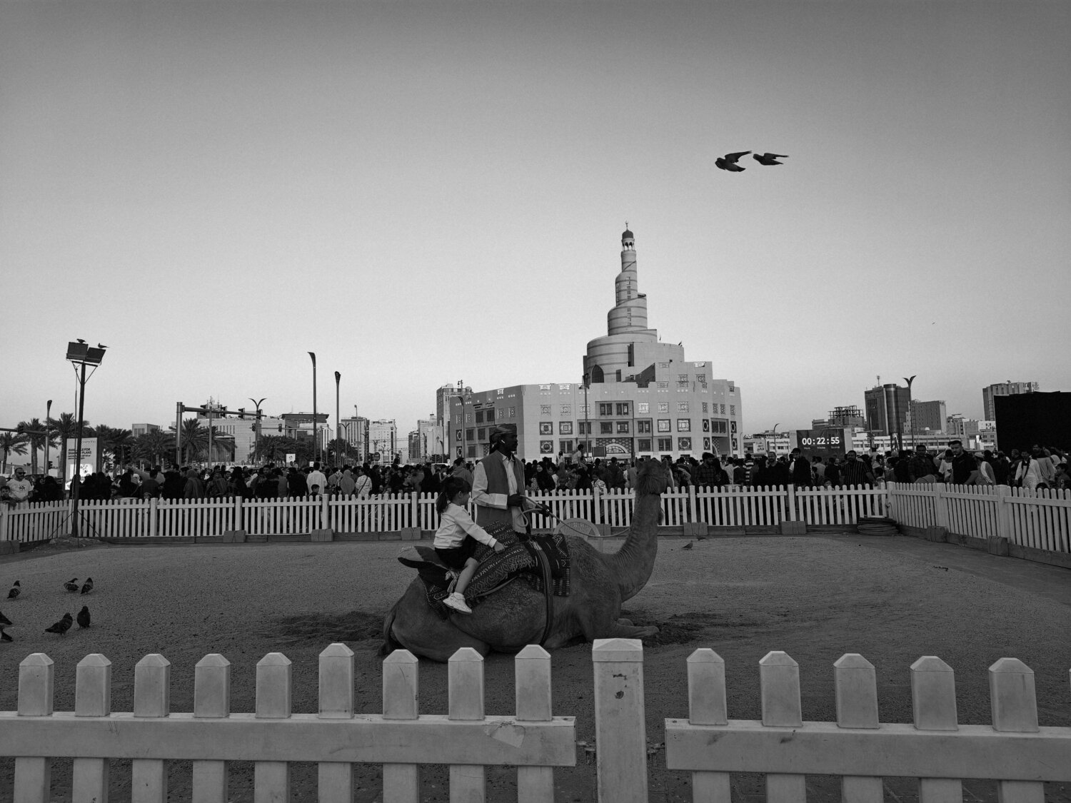 Photo #12092813
