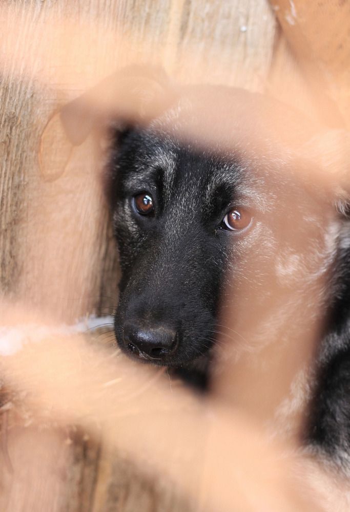 Photograph by Наталия