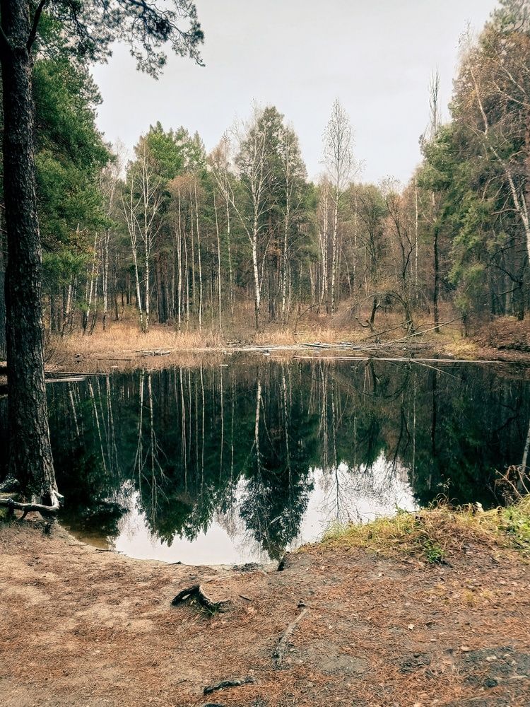 Photograph by Ксения Трофимова